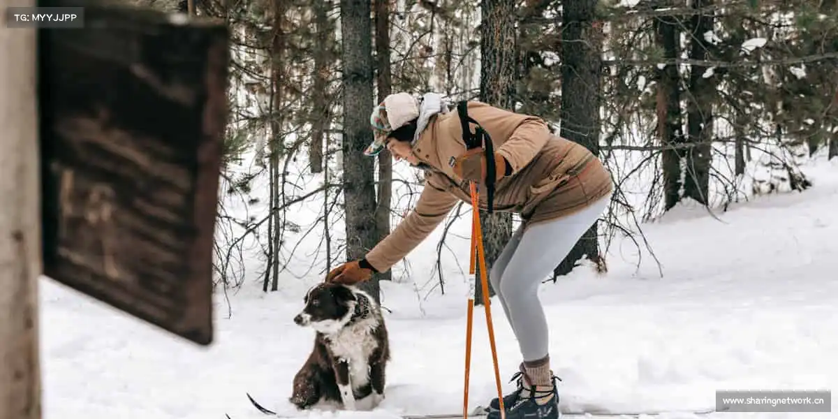 我们的品牌价值